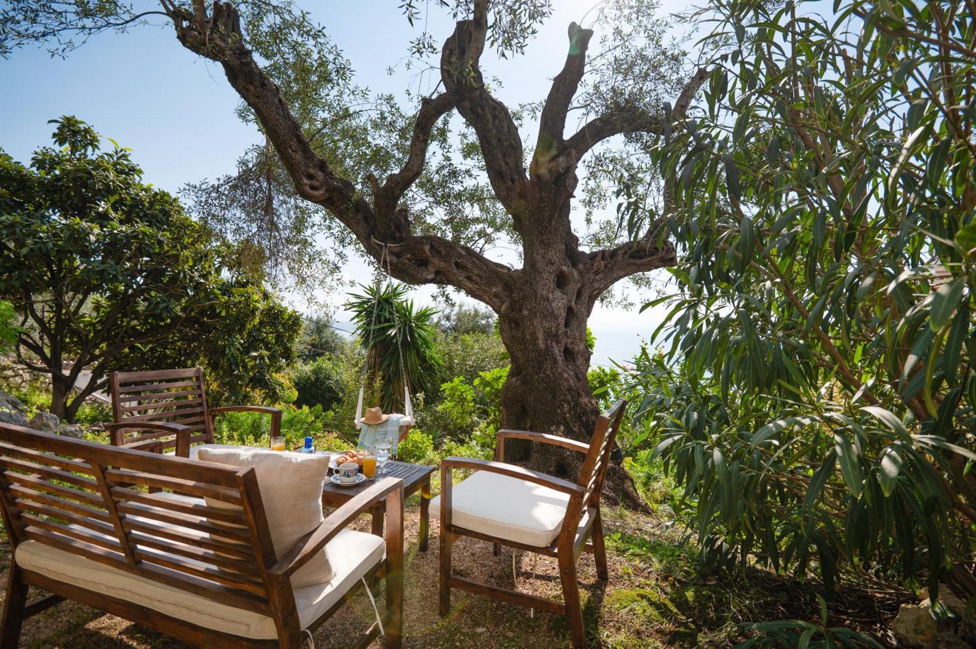 בארבאטי Sunrise View Apartments מראה חיצוני תמונה